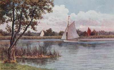 Salhouse Broad von Alfred Robert Quinton